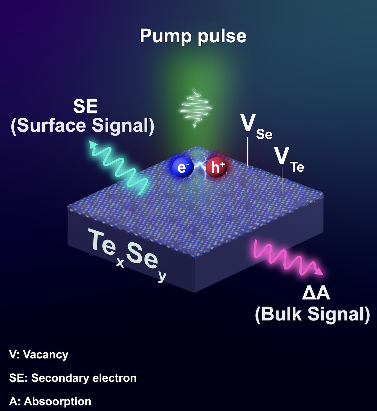 Composition-dependent surface dynamics in Te–Se nanocomposites
